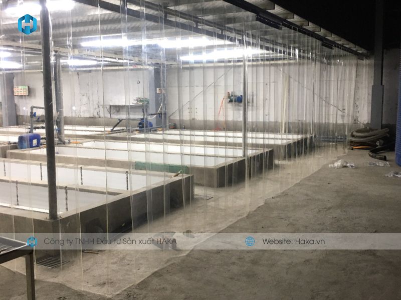 Công trình nhà xưởng chúng tôi luôn có chính sách hỗ trợ cụ thể